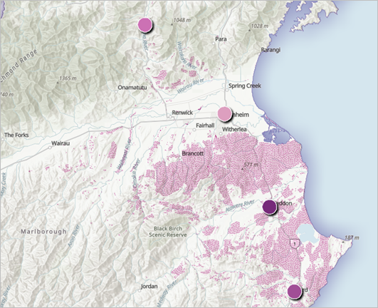 Summarized areas of Nassella tussock sightings within a 1.5-kilometer distance of campgrounds Summarized areas of Nassella tussock sightings within a 1.5-kilometer distance of campgrounds