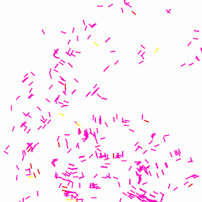 Export Image