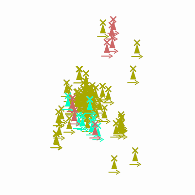 Export Image