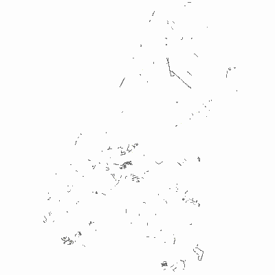Export Image