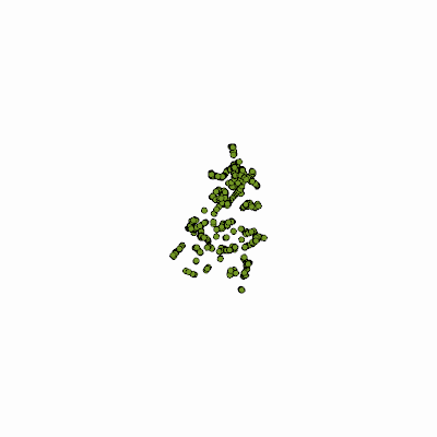 Export Image